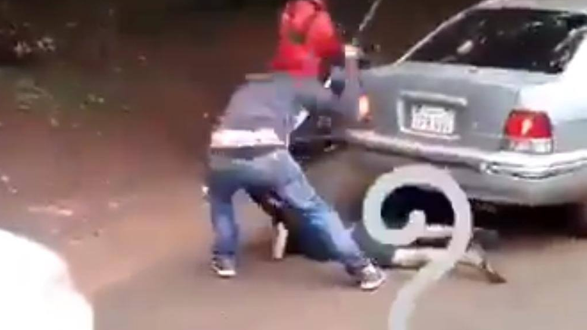 Niño vendedor golpeado por robar una banana en CDE